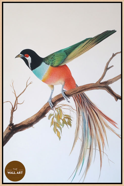 images/products/raindow_long_tail_bird/RAINDOW_LONG TAIL BIRD_OAK.jpg